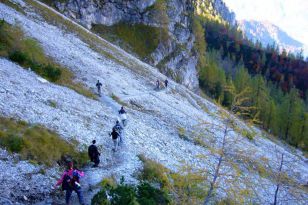 seibukan_Seibukan_Wandertag_2010_065.jpg