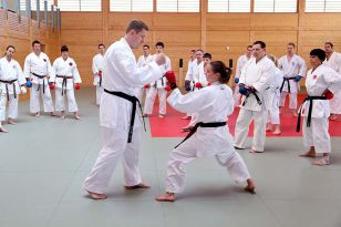 seibukan_2_OEKB_Tag_Trainerfortbildung_2010_013.jpg