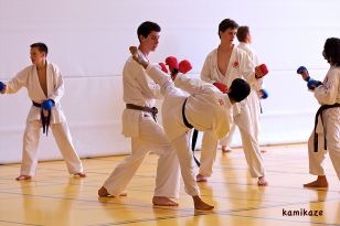 seibukan_3_KamIkaze_Sommercamp_2011_068.jpg