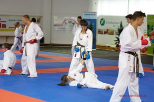 seibukan_5_Intern_Kamikaze_Sommercamp_Neuhofen_2013_060.jpg