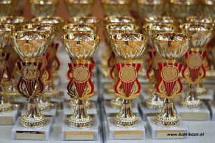 seibukan_Askoe_Bundesmeisterschaft_2011_002.jpg