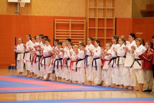 seibukan_Askoe_Landesmeisterschaft_in_Linz_Kirchdorf_2015_015.jpg