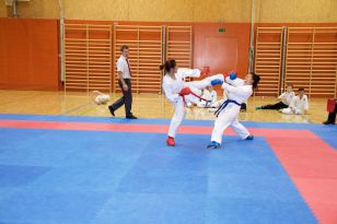 seibukan_Askoe_Landesmeisterschaft_in_Linz_Kirchdorf_2015_213.jpg