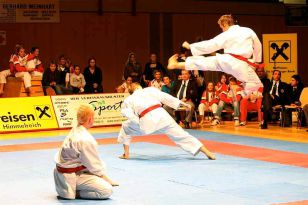 seibukan_Austrian_Open_Golden_League_2009_044.jpg