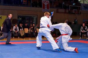 seibukan_Austrian_Open_Golden_League_2009_056.jpg