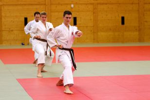 seibukan_Kyu_u_Dan_Pruefung_OOELV_im_Budokan_2014_023.jpg