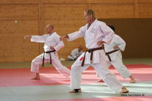 seibukan_Kyu_und_Dan_Pruefung_2013_098.jpg