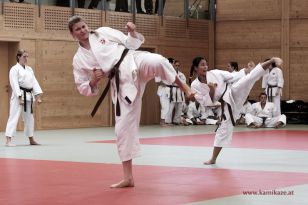 seibukan_Kyu_und_Dan_Pruefung_2014_013.jpg