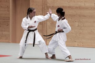 seibukan_Kyu_und_Dan_Pruefung_2014_116.jpg