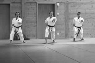 seibukan_Kyu_und_Dan_Pruefung_des_OKB_im_Budokan_2013_048.jpg