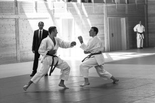 seibukan_Kyu_und_Dan_Pruefung_des_OKB_im_Budokan_2013_115.jpg