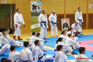 seibukan_Lehrgang_mit_Rafael_Aghayev_2013_033.jpg