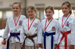 seibukan_OOE_LM_U10_U21_Senioren_Linz_Auhof_2012_144.jpg