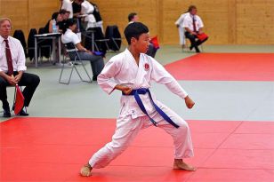 seibukan_OOE_Landesmeisterschaft_2010_046.jpg