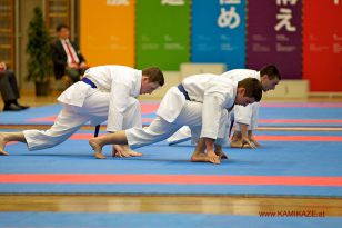seibukan_Oesterr_Staatsmeisterschaft_und_OEM_in_Wels _2015_051.jpg