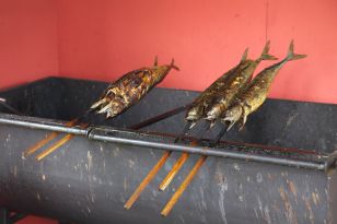 seibukan_Rad_und_Badetag_2013_046.jpg