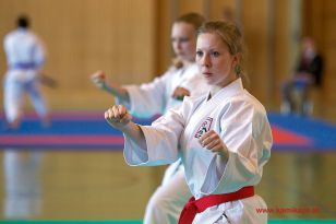 seibukan_Staatsmeisterschaft_Allg_Klasse_2014_047.jpg