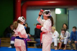 seibukan_Vereinsmeisterschaft_Kinder_Jugend_2011_028.jpg