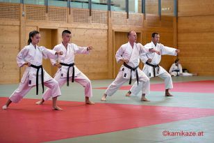 seibukan_pruefung_budokan_2016_014.jpg
