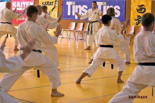 seibukan_3_KamIkaze_Sommercamp_2011_177.jpg
