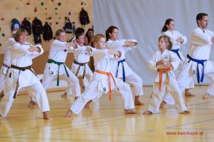 seibukan_5_Intern_Kamikaze_Sommercamp_Neuhofen_2013_253.jpg