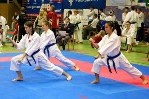 seibukan_Askoe_Bundesmeisterschaft_2010_069.jpg