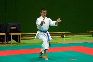 seibukan_Askoe_Bundesmeisterschaft_2010_106.jpg
