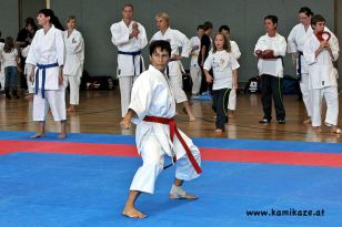 seibukan_Askoe_Landesmeisterschaft_Linz_Auhof_2011_038.jpg