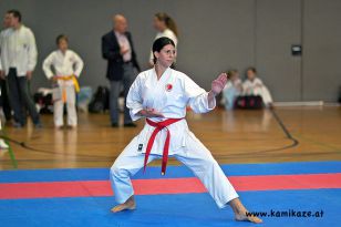 seibukan_Askoe_Landesmeisterschaft_Linz_Auhof_2011_041.jpg