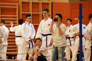 seibukan_Askoe_Landesmeisterschaft_in_Linz_Kirchdorf_2015_115.jpg