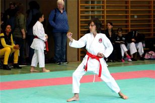 seibukan_Askoe_Landesmeisterschaft_in_Windischgarsten_2010_035.jpg