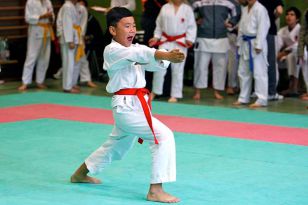 seibukan_Askoe_Landesmeisterschaft_in_Windischgarsten_2010_039.jpg