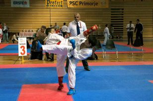 seibukan_Croatien_Open_2010_050.jpg