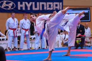 seibukan_Karate1_Premier_League_and_Youth_World Cup_Salzburg_2013_211.jpg