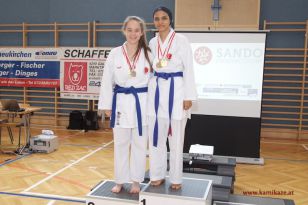 seibukan_Landesmeisterschaft_2016_130.jpg
