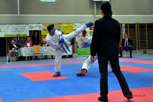 seibukan_OOE_LM_u_Nachwuchsmeisterschaft_Lambach_2015_237.jpg