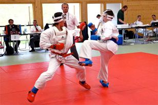 seibukan_OOE_Landesmeisterschaft_2010_099.jpg