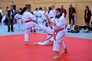seibukan_OOE_Landesmeisterschaft_2011_108.jpg