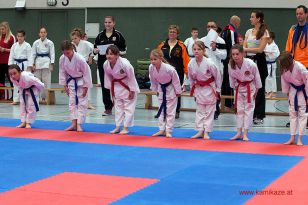 seibukan_OOE_Landesmeisterschaft_Lambach_2014_008.jpg