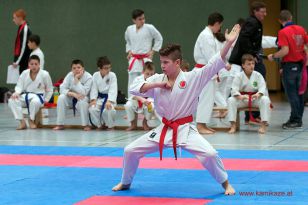 seibukan_OOE_Landesmeisterschaft_Lambach_2014_024.jpg