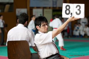 seibukan_Oesterr_Shotokan_Meisterschaft_StGeorgen_2014_067.jpg