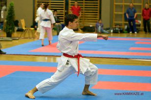 seibukan_Oesterr_Staatsmeisterschaft_und_OEM_in_Wels _2015_043.jpg