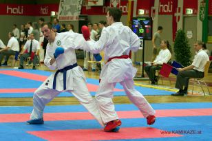seibukan_Oesterr_Staatsmeisterschaft_und_OEM_in_Wels _2015_135.jpg