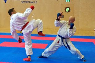 seibukan_Senioren_Staatsmeisterschaft_2011_068.jpg