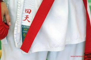 seibukan_WADO_KAI_Europameisterschaft_2012_097.jpg