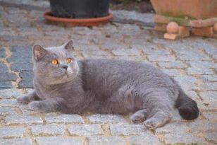 testbild-08.jpg