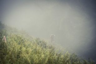 1570027737-16.jpg