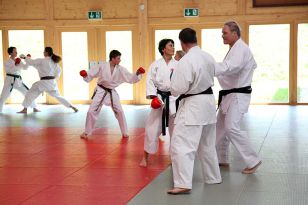 seibukan_2_OEKB_Tag_Trainerfortbildung_2010_019.jpg