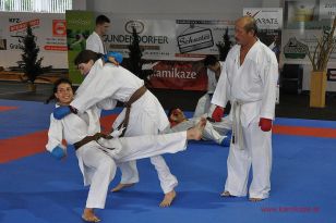 seibukan_5_Intern_Kamikaze_Sommercamp_Neuhofen_2013_056.jpg