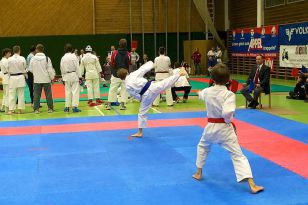 seibukan_Askoe_Bundesmeisterschaft_2010_023.jpg